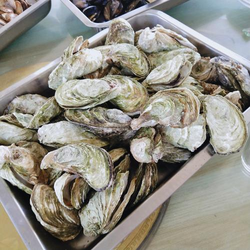 97免费在线联系我们